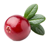 Cranberry Flavour